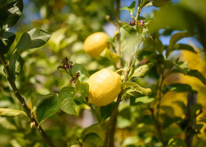 Geres Country - Quinta Dos Motas 빌라